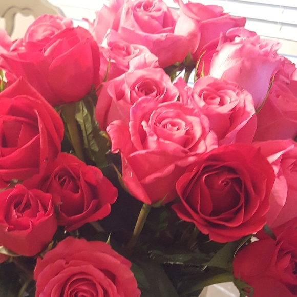 Meet your Posher, Carmela - Picture 1 of 1